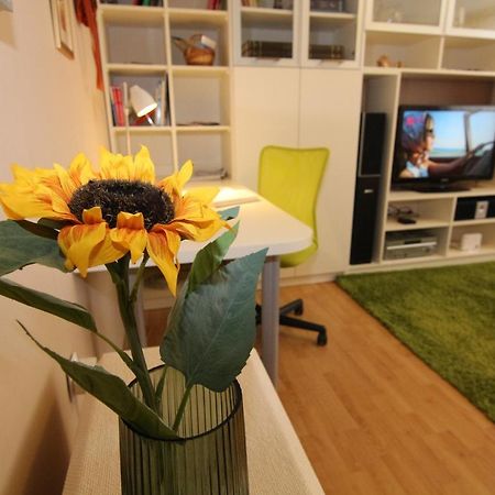 Fast Friend - Cozy Apartment In The Center With Private Garage Rijeka Dış mekan fotoğraf