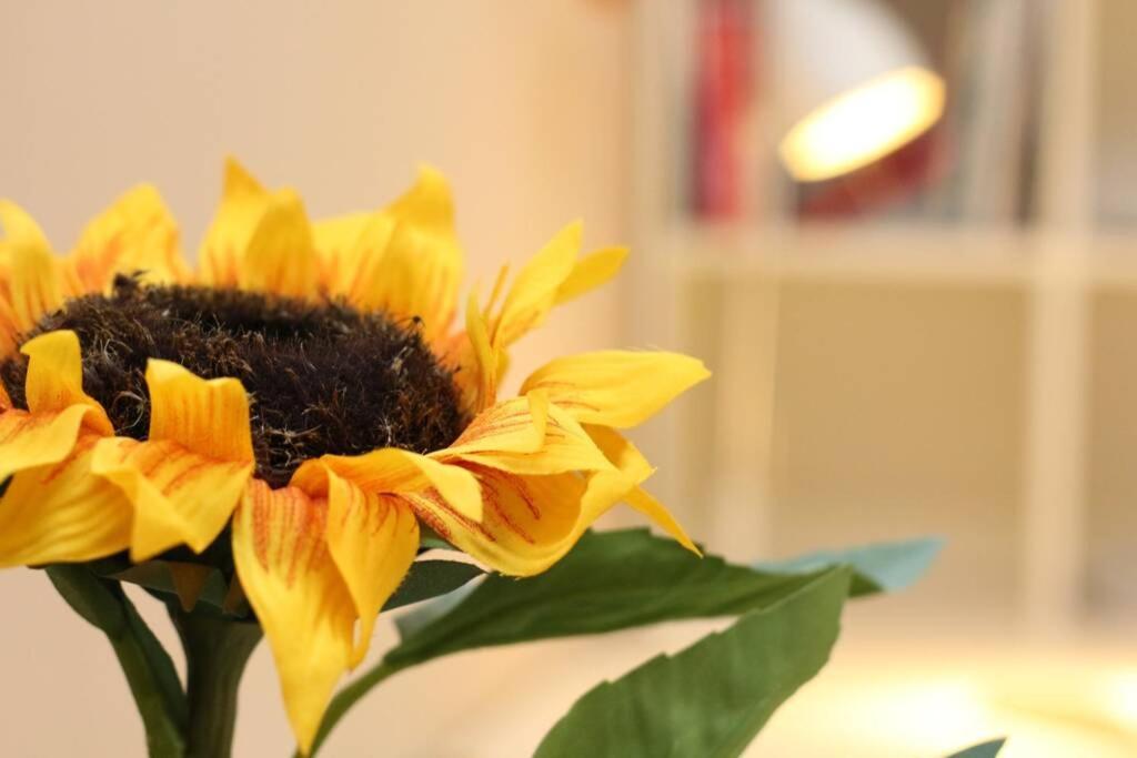 Fast Friend - Cozy Apartment In The Center With Private Garage Rijeka Dış mekan fotoğraf