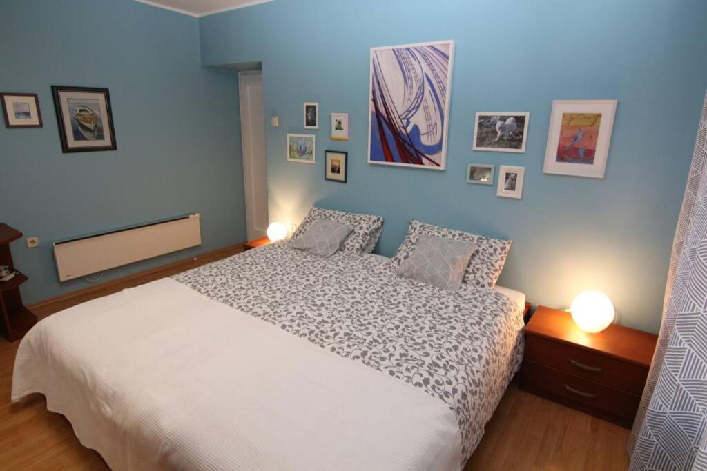 Fast Friend - Cozy Apartment In The Center With Private Garage Rijeka Dış mekan fotoğraf